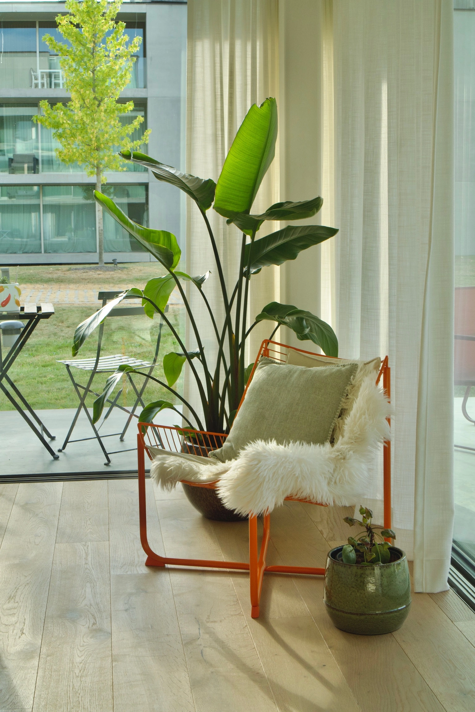 Sunlit chair and plants in a welcoming interior